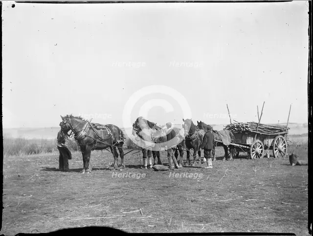 Broomfield, Broomfield and Kingswood, Maidstone, Kent, 1904. Creator: Katherine Jean Macfee.