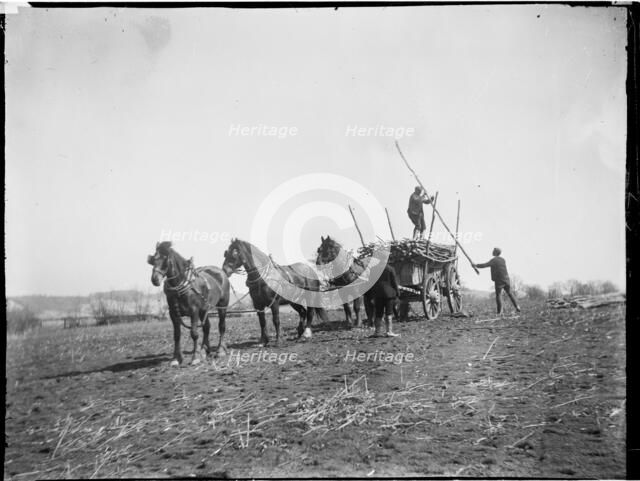 Broomfield, Broomfield and Kingswood, Maidstone, Kent, 1904. Creator: Katherine Jean Macfee.