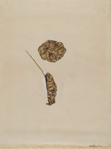 Brooch, c. 1936. Creator: Grace Halpin