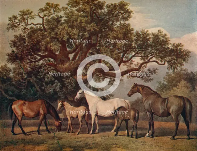 'Brood Mares and Foals', late 18th century, (1922). Artist: George Townley Stubbs.