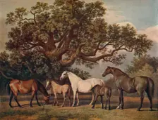 Brood Mares and Foals late 18th century, (1922). Artist: George Townley Stubbs