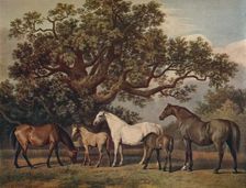 Brood Mares and Foals late 18th century, (1922). Artist: George Townley Stubbs