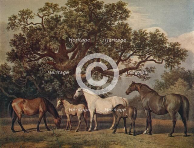 'Brood Mares and Foals', late 18th century, (1922). Artist: George Townley Stubbs.