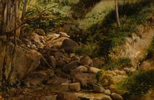 Brook, 1868. Creator: Berndt Lindholm