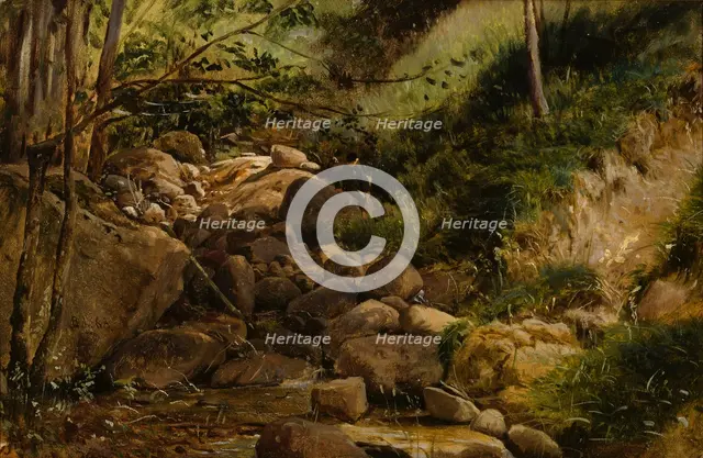 Brook, 1868. Creator: Berndt Lindholm.