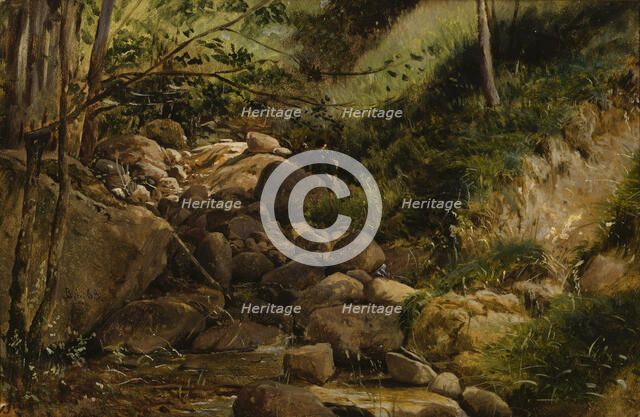 Brook, 1868. Creator: Berndt Lindholm.