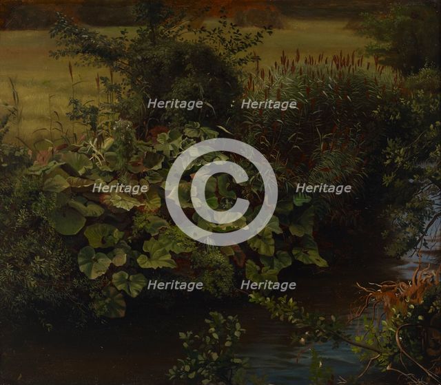 Brook, copy after Johann Wilhelm Schirmer, 1860-1880. Creator: Hjalmar Munsterhjelm.