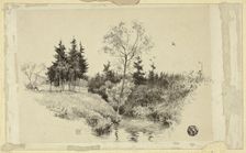 Brook in Forest, n.d. Creator: Unknown