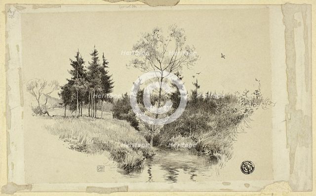 Brook in Forest, n.d. Creator: Unknown.