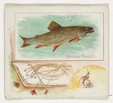 Brook Trout, from Fish from American Waters series (N39) for Allen & Ginter Cigarettes, 1889. Creator: Allen & Ginter