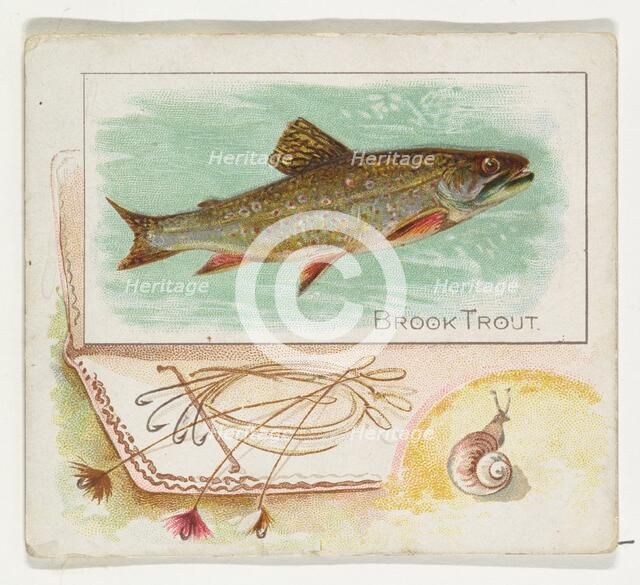 Brook Trout, from Fish from American Waters series (N39) for Allen & Ginter Cigarettes, 1889. Creator: Allen & Ginter.