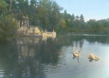 "Brookside," William Hall Walker house, Brookside Road, Great Barrington, Massachusetts, c1916. Creator: Frances Benjamin Johnston