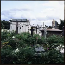 Brompton Cemetery, Old Brompton Road, Brompton, Kensington and Chelsea, London, 1982. Creator: Ian Mesnard Parsons