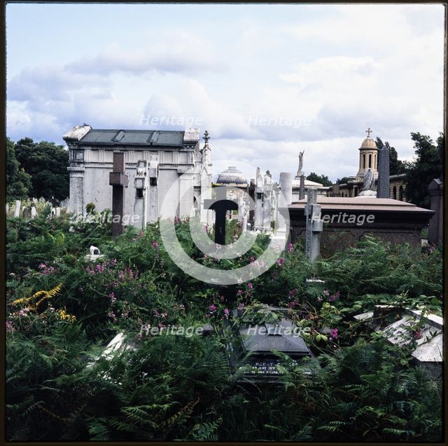Brompton Cemetery, Old Brompton Road, Brompton, Kensington and Chelsea, London, 1982. Creator: Ian Mesnard Parsons.