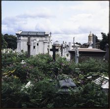 Brompton Cemetery, Old Brompton Road, Brompton, Kensington and Chelsea, London, 1982. Creator: Ian Mesnard Parsons