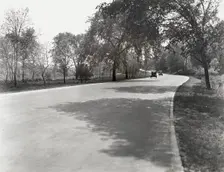 Bronx Parkway, Bronx, New York, c1920. Creator: Frances Benjamin Johnston
