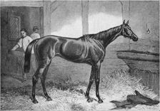 Brown Duchess 19th century, (1911)