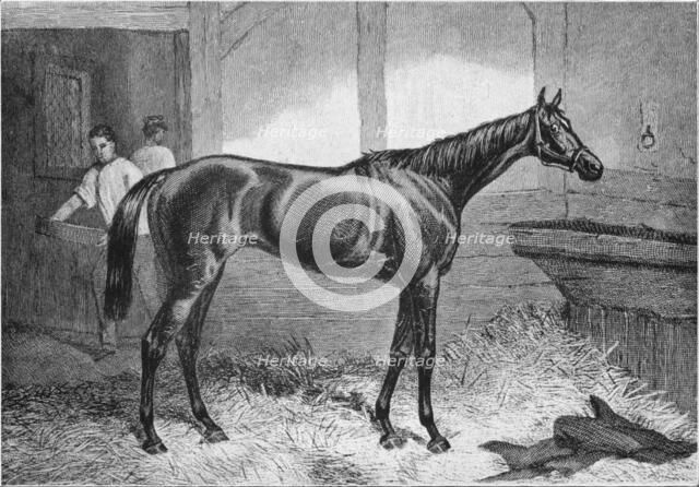 'Brown Duchess', 19th century, (1911). Artist: Unknown.