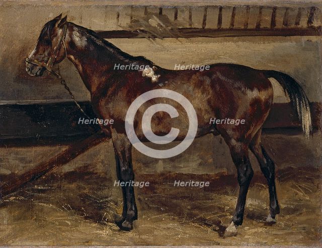 Brown horse in a stable, 1818. Creator: Theodore Gericault.