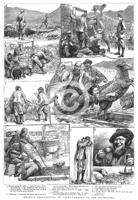 ''Brown's Experiences of Sheep - Farming in the Highlands', 1890. Creator: Unknown.