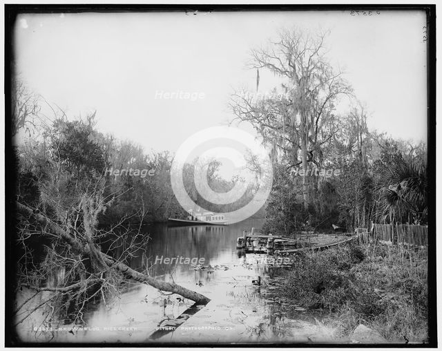 Brown's landing, Rice Creek, between 1880 and 1897. Creator: William H. Jackson.