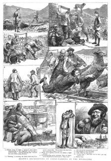 'Brown's Experiences of Sheep - Farming in the Highlands 1890. Creator: Unknown