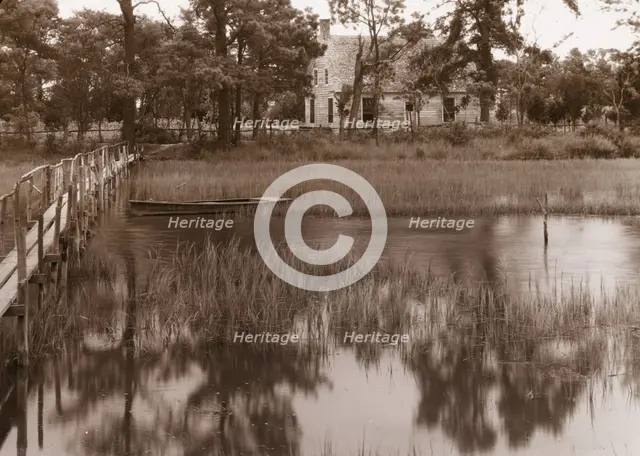 Brownsville marsh, Nassawadox, Northampton County, Virginia, between c1930 and 1939. Creator: Frances Benjamin Johnston.