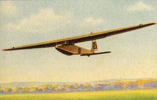BSV Luftikus glider, 1932. Creator: Unknown