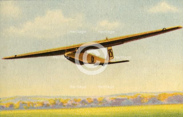 BSV Luftikus glider, 1932.  Creator: Unknown.