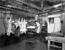 Butchery factory, Rawmarsh, South Yorkshire, 1955. Creator: Michael Walters