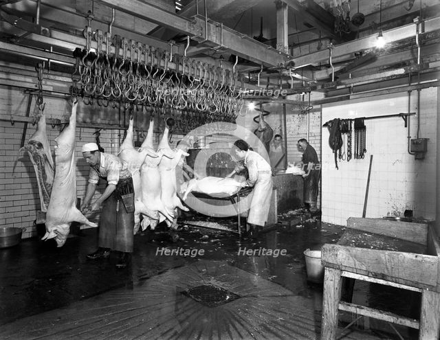 Butchery factory, Rawmarsh, South Yorkshire, 1955.  Creator: Michael Walters.