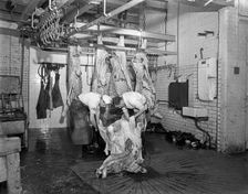 Butchery factory, Rawmarsh, South Yorkshire, 1955. Creator: Michael Walters