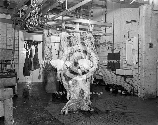 Butchery factory, Rawmarsh, South Yorkshire, 1955.  Creator: Michael Walters.