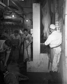 Butchery factory, Rawmarsh, South Yorkshire, 1955. Creator: Michael Walters