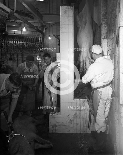 Butchery factory, Rawmarsh, South Yorkshire, 1955.  Creator: Michael Walters.