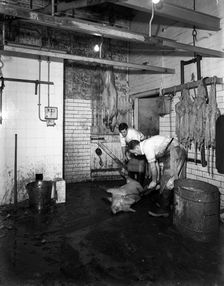 Butchery factory, Rawmarsh, South Yorkshire, 1955. Creator: Michael Walters