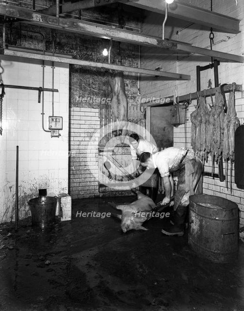 Butchery factory, Rawmarsh, South Yorkshire, 1955.  Creator: Michael Walters.