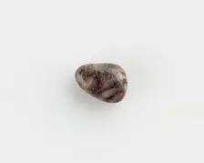 Button, of heart-shaped form, Ptolemaic Dynasty or Roman Period, 305 BCE-14 CE. Creator: Unknown