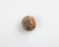 Button bead, Ptolemaic Dynasty or Roman Period, 305 BCE-14 CE. Creator: Unknown