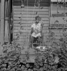 Butter bean vines across the porch, negro quarter in Memphis, Tennessee, 1938. Creator: Dorothea Lange