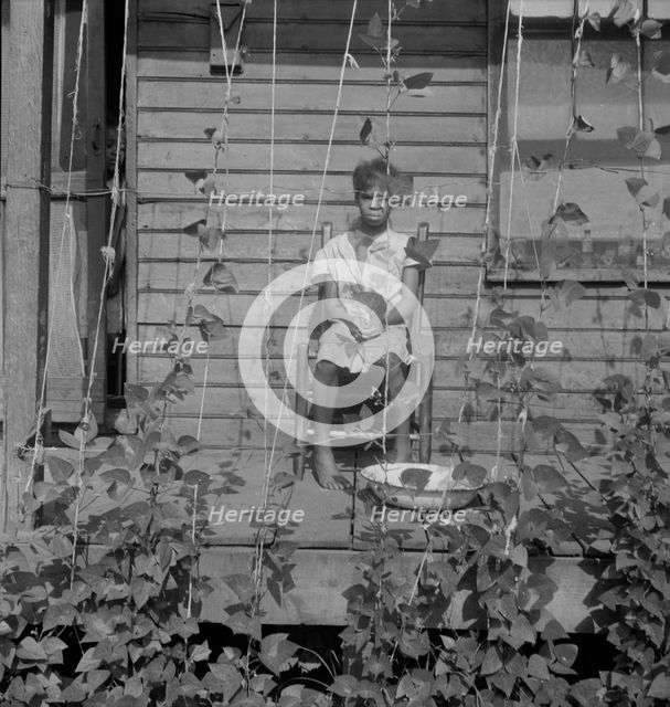 Butter bean vines across the porch, negro quarter in Memphis, Tennessee, 1938. Creator: Dorothea Lange.
