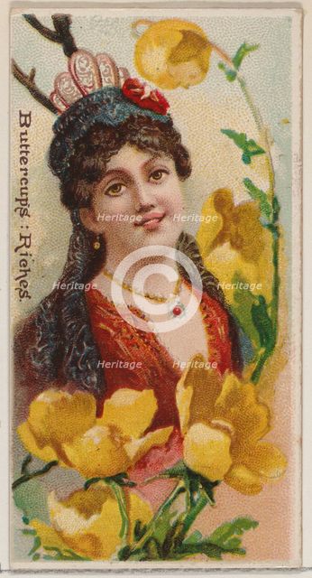 Buttercups: Riches, from the series Floral Beauties and Language of Flowers (N75) for Duke..., 1892. Creator: Donaldson Brothers.