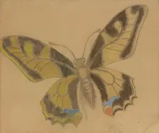 Butterfly (Old World Swallowtail), 1897-1898. Creator: Stanislaw Wyspianski
