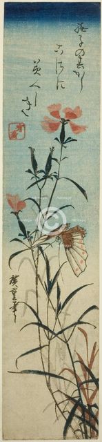 Butterfly and pinks, mid-1840s. Creator: Ando Hiroshige.