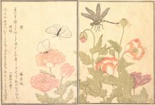 Butterfly (Cho); Dragonfly (Kagero or Tonbo), 1788. Creator: Kitagawa Utamaro