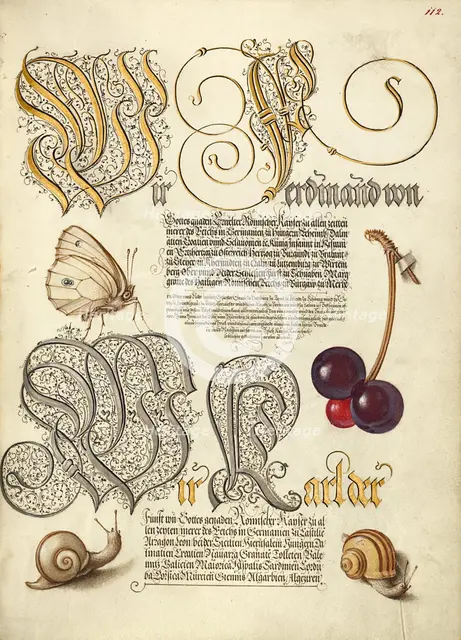 Butterfly, Sweet Cherry, and Land Snails, 1561-1562; illumination added 1591-1596. Creator: Joris Hoefnagel.