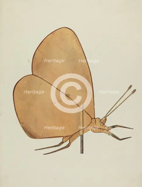Butterfly Weather Vane, c. 1938. Creator: Hazel Hyde.