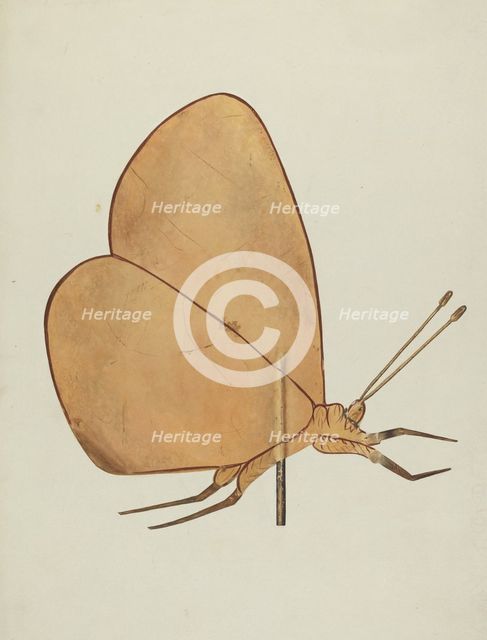 Butterfly Weather Vane, c. 1938. Creator: Hazel Hyde.