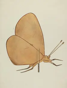Butterfly Weather Vane, c. 1938. Creator: Hazel Hyde