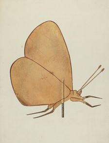 Butterfly Weather Vane, c. 1938. Creator: Hazel Hyde
